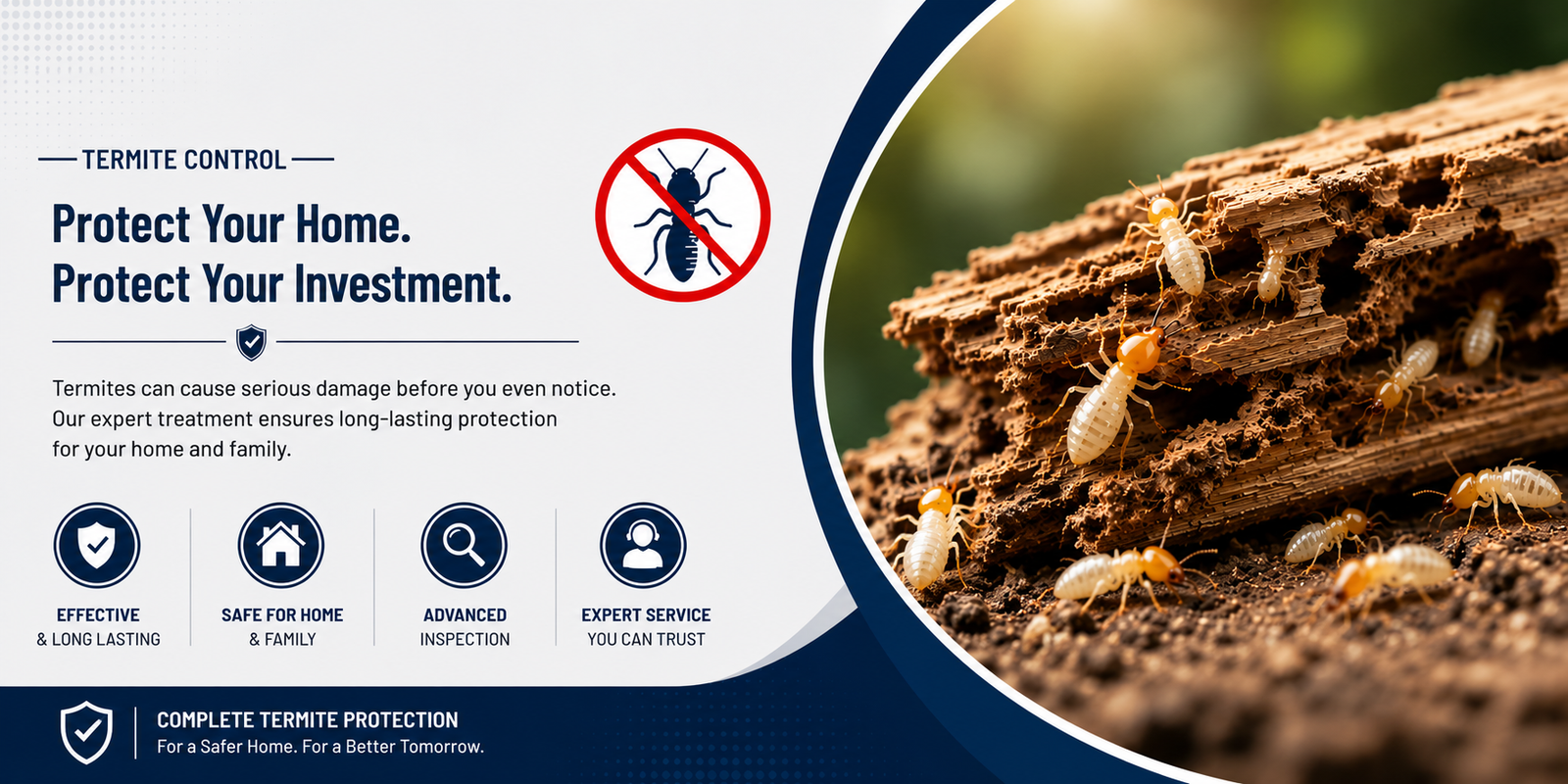 Termite Control Bangalore Termite Control Bangalore