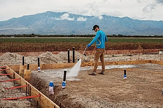 Termite Control Service in Bangalore
