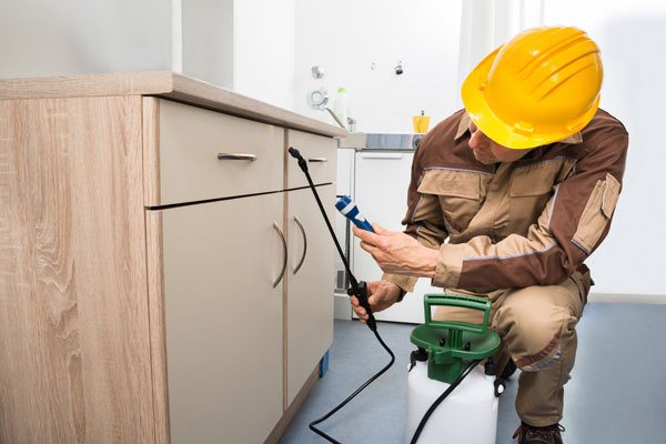 Residential Termite Control
